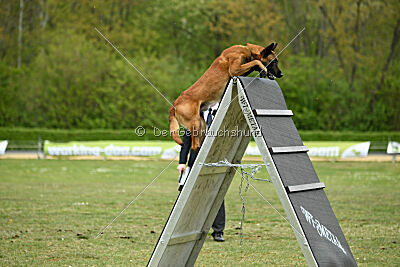 Arthos vom Feldbrand