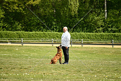 Arthos vom Feldbrand