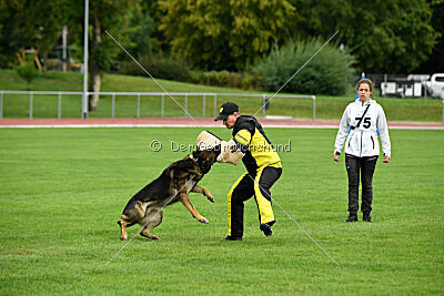 Arthur vom Tiefgestade
