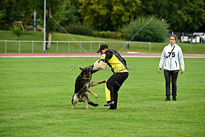 Arthur vom Tiefgestade