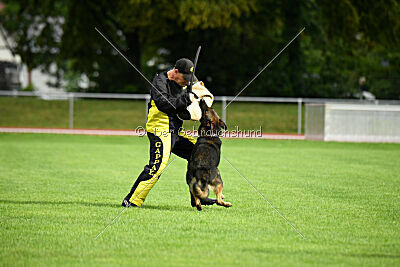 Arthur vom Tiefgestade