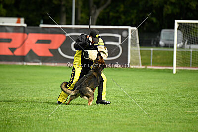 Arthur vom Tiefgestade