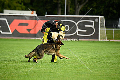 Arthur vom Tiefgestade