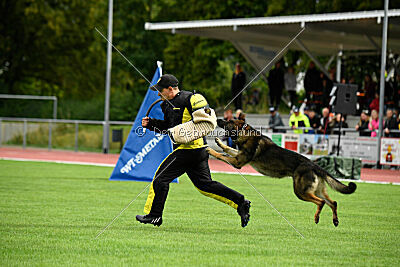 Arthur vom Tiefgestade