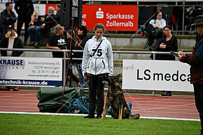 Arthur vom Tiefgestade