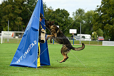 Arthur vom Tiefgestade