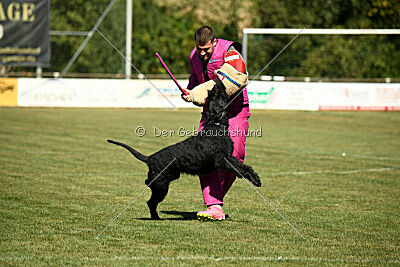 Arthur von der Schönburg