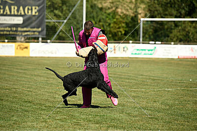 Arthur von der Schönburg