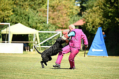 Arthur von der Schönburg