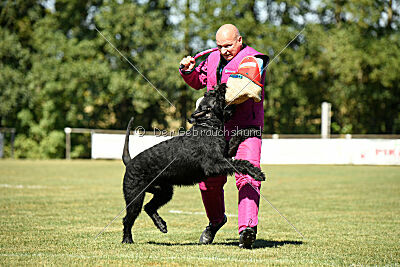 Arthur von der Schönburg