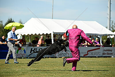 Arthur von der Schönburg