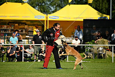Arturo Banda Los Valientes