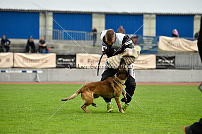 As'Thor Force Canina
