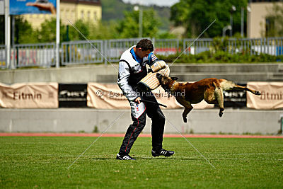 As'Thor Force Canina