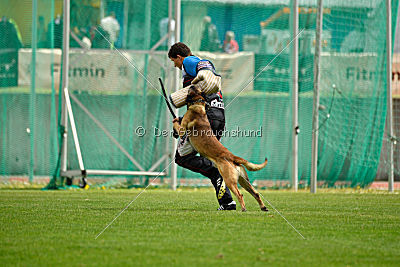 As'Thor Force Canina