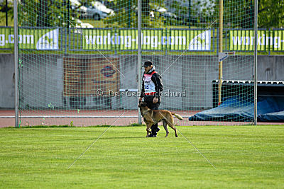 As'Thor Force Canina