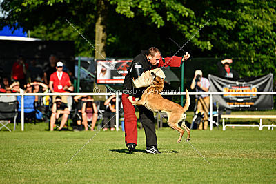 Ashley vom Clan der Wölfe