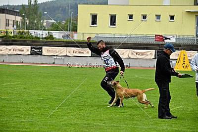 Ashley vom Clan der Wölfe