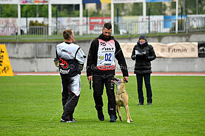 Ashley vom Clan der Wölfe