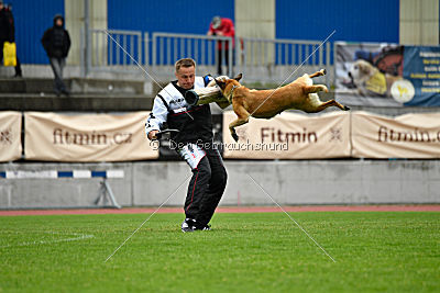 Ashley vom Clan der Wölfe