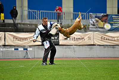 Ashley vom Clan der Wölfe