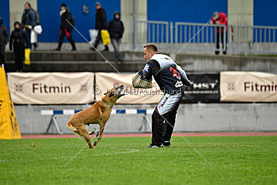 Ashley vom Clan der Wölfe