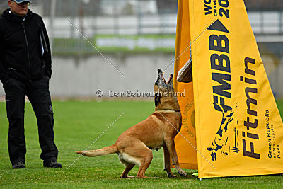 Ashley vom Clan der Wölfe