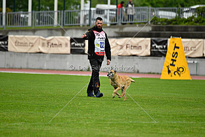 Ashley vom Clan der Wölfe