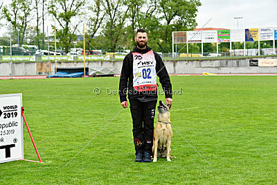 Ashley vom Clan der Wölfe