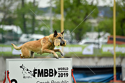 Ashley vom Clan der Wölfe