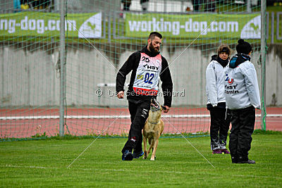 Ashley vom Clan der Wölfe