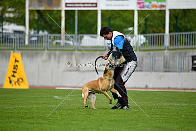 Ashley vom Clan der Wölfe