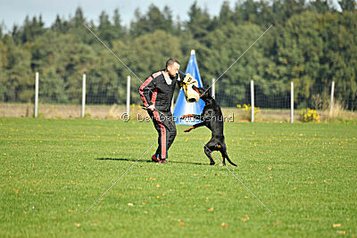 Askjell vom Dunkelvolk