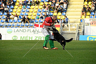 Asko von der Siegermacht