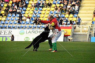 Asko von der Siegermacht