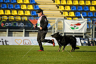 Asko von der Siegermacht