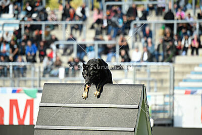 Asko von der Siegermacht