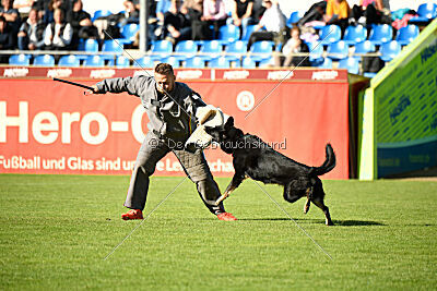 Asko von der Siegermacht