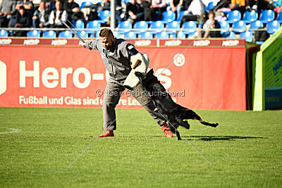 Asko von der Siegermacht