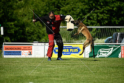 Aslan vom Sudwalder Forst