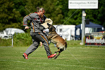 Aslan vom Sudwalder Forst