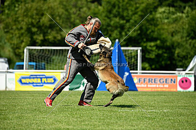 Aslan vom Sudwalder Forst