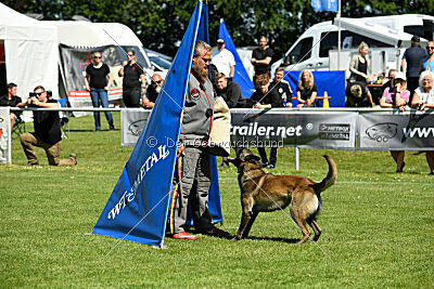 Aslan vom Sudwalder Forst