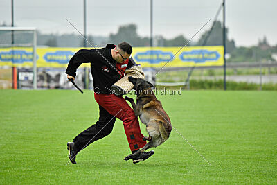 Aslan vom Sudwalder Forst