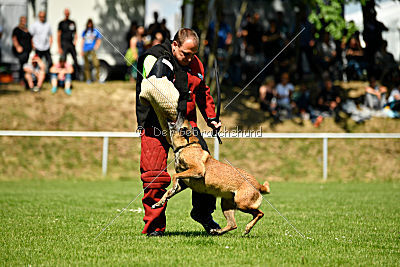 Assira vom Streitwald