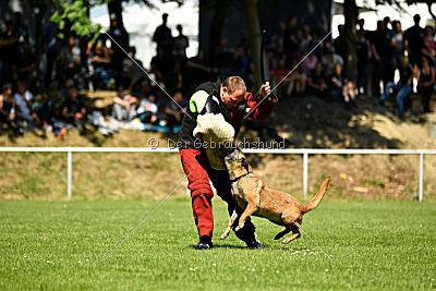 Assira vom Streitwald