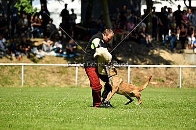 Assira vom Streitwald