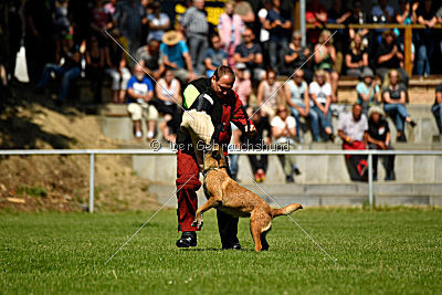 Assira vom Streitwald