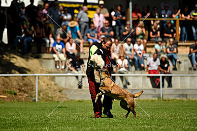 Assira vom Streitwald