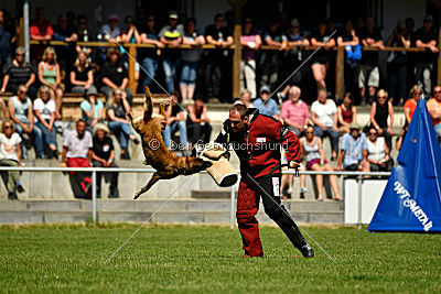 Assira vom Streitwald